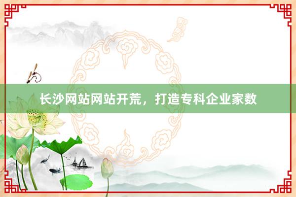 长沙网站网站开荒，打造专科企业家数