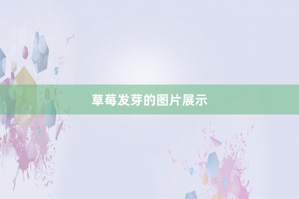 草莓发芽的图片展示