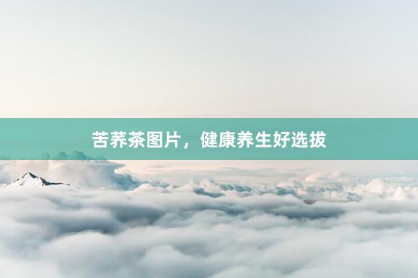 苦荞茶图片，健康养生好选拔